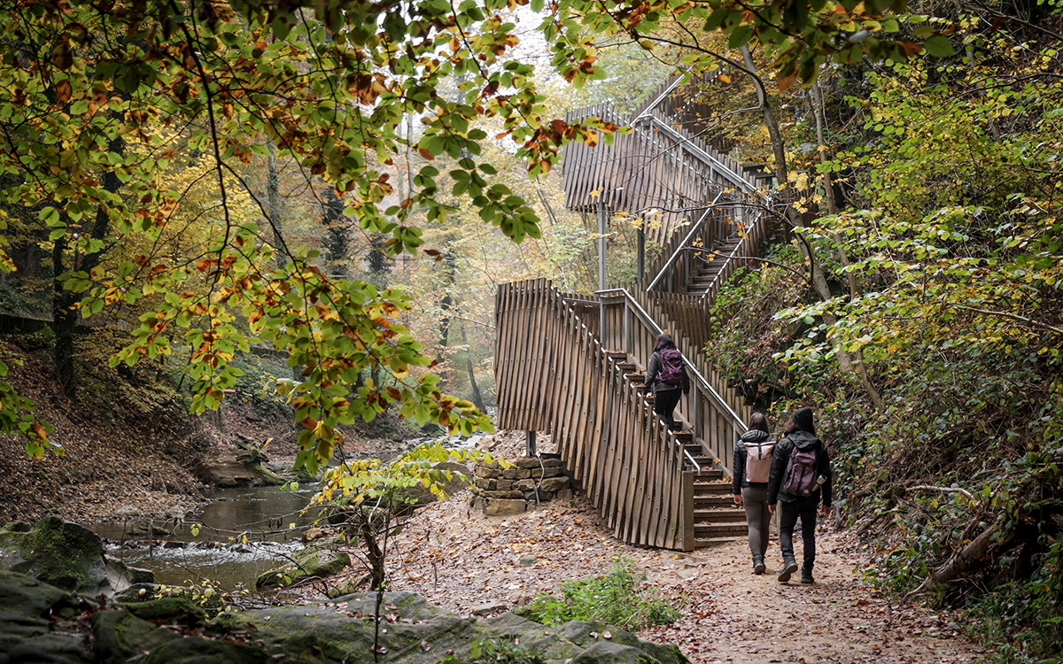 Mullerthal Trail Randonn E F Rique Au Luxembourg A S Adventure