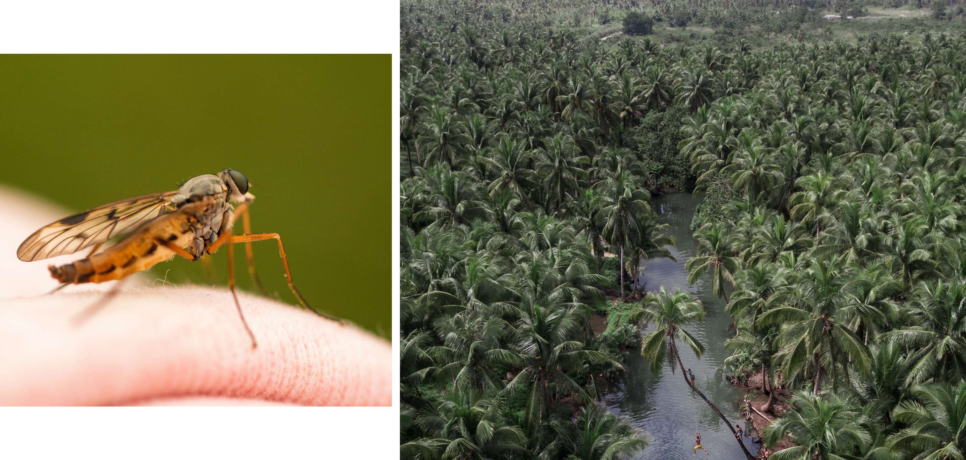 Bien se protéger des insectes en vacances