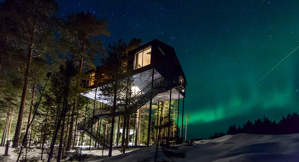 Boomhut Treehotel