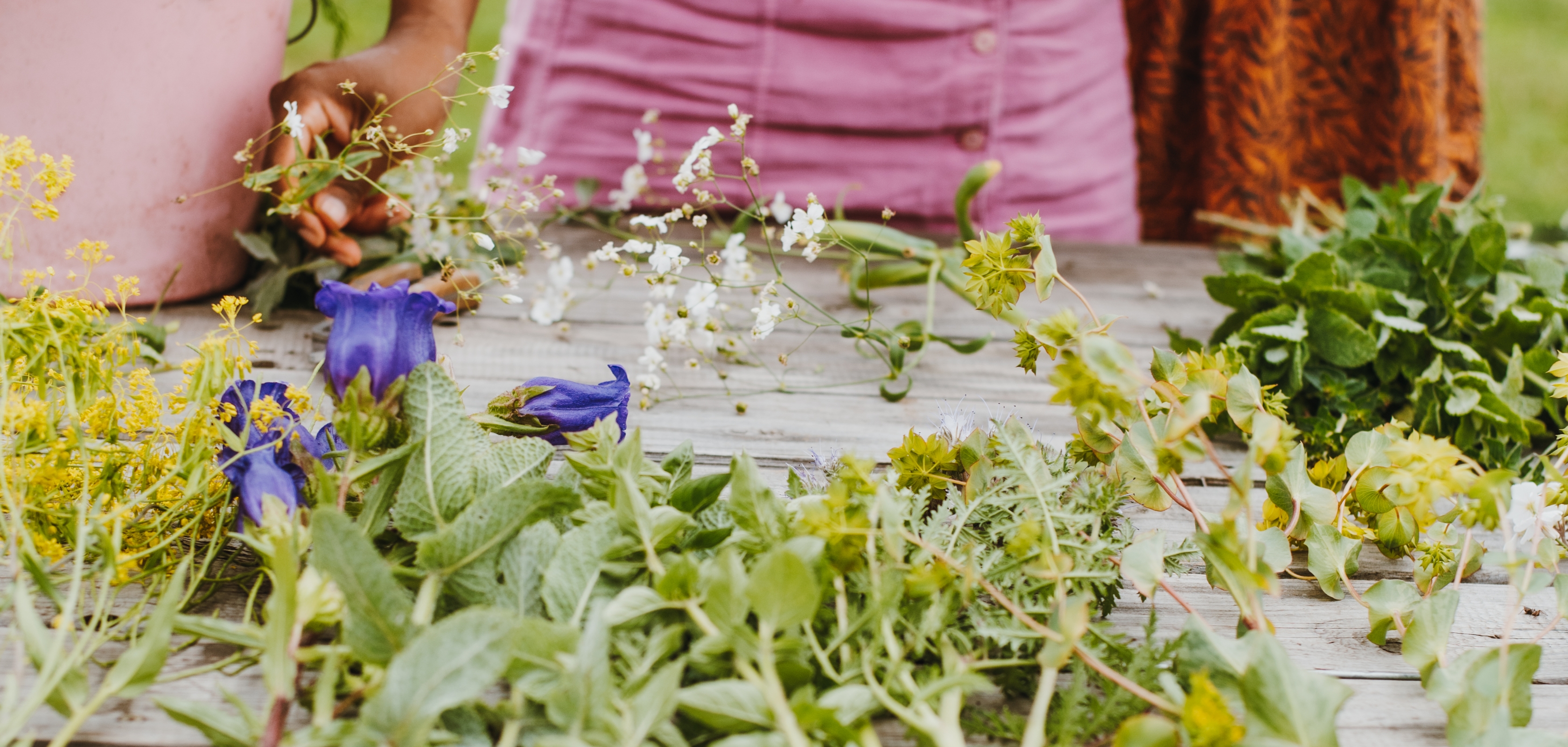 Bloemen uit de bloementuin