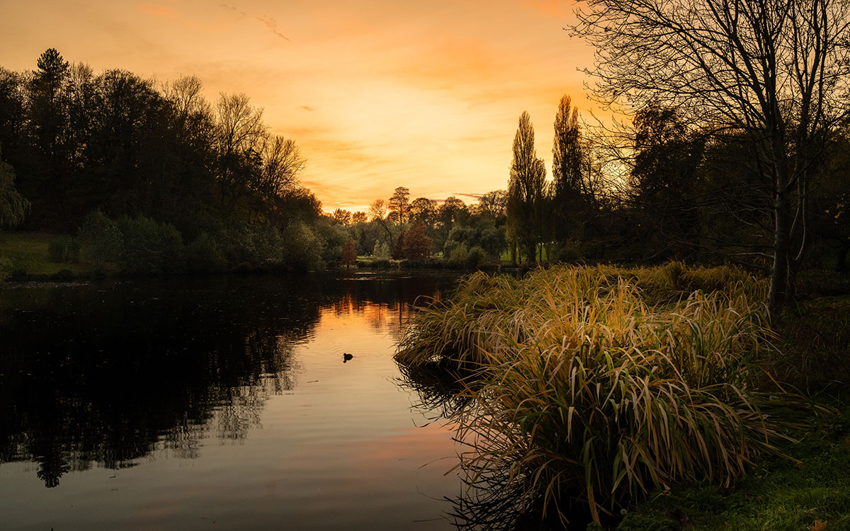 12 faits surprenants sur la nature proche de la ville