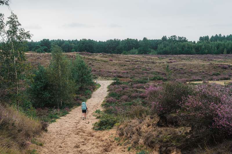 Découvrez les 6 parcs nationaux de Belgique