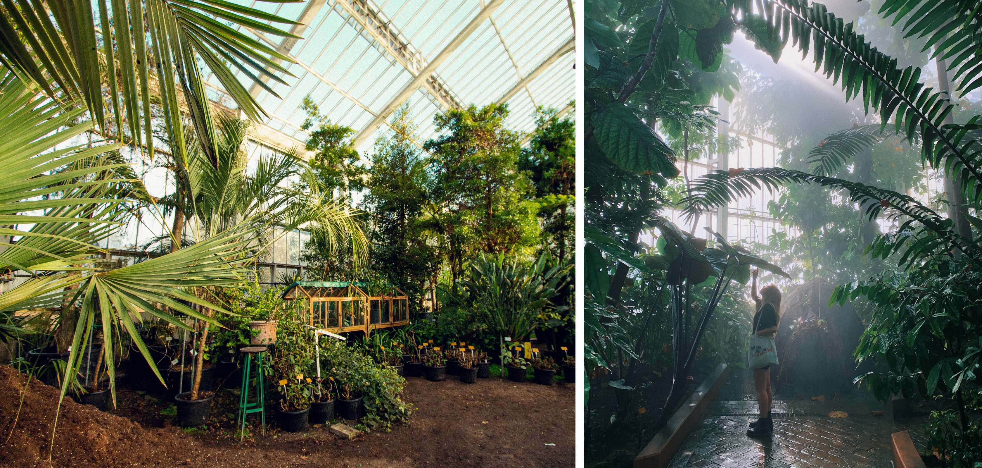 Jardin botanique de Meise pour un rendez-vous galant