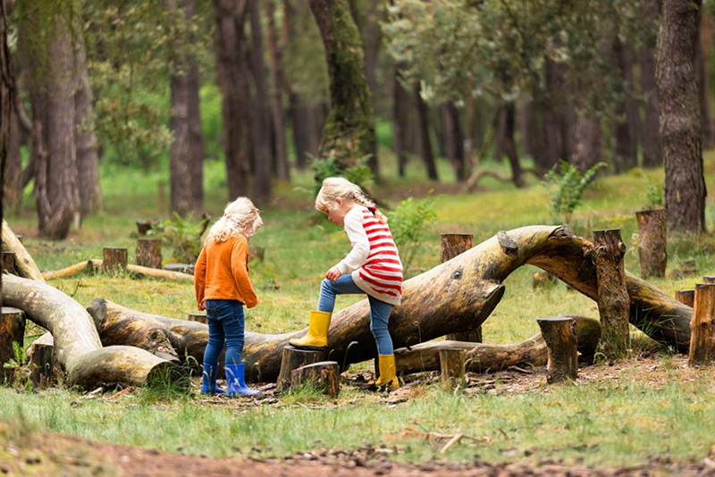 Suivez ces conseils pour faire découvrir la nature à vos enfants