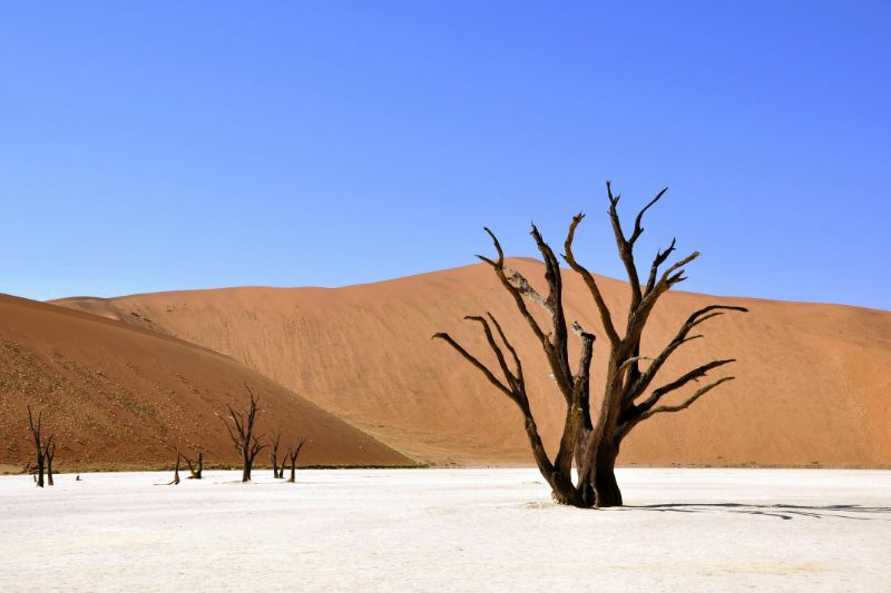 La Namibie : bien plus qu’une mer de sable