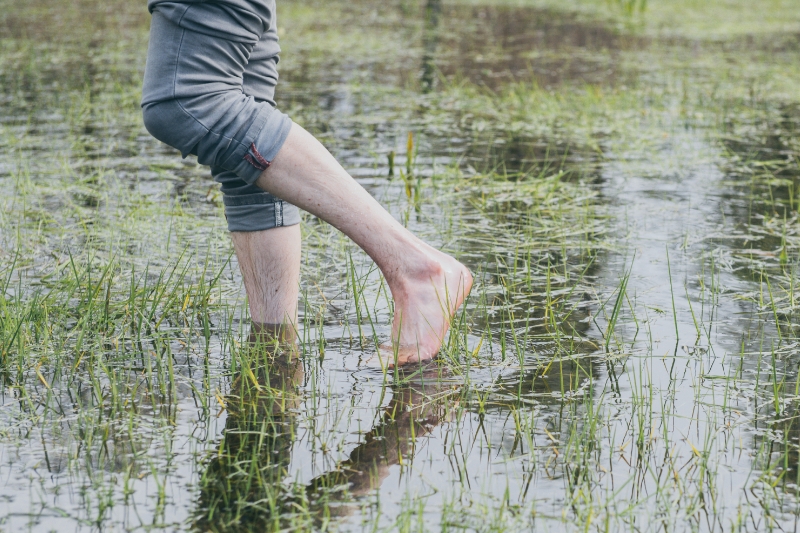 Bain de forêt : de quoi s'agit-il et comment s'y prendre ?