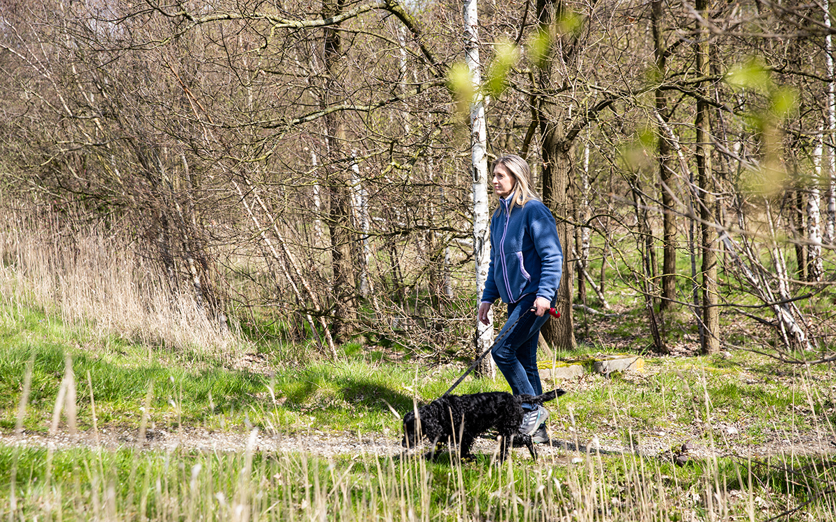 Notre réceptionniste vient tous les jours au bureau accompagnée de son chien