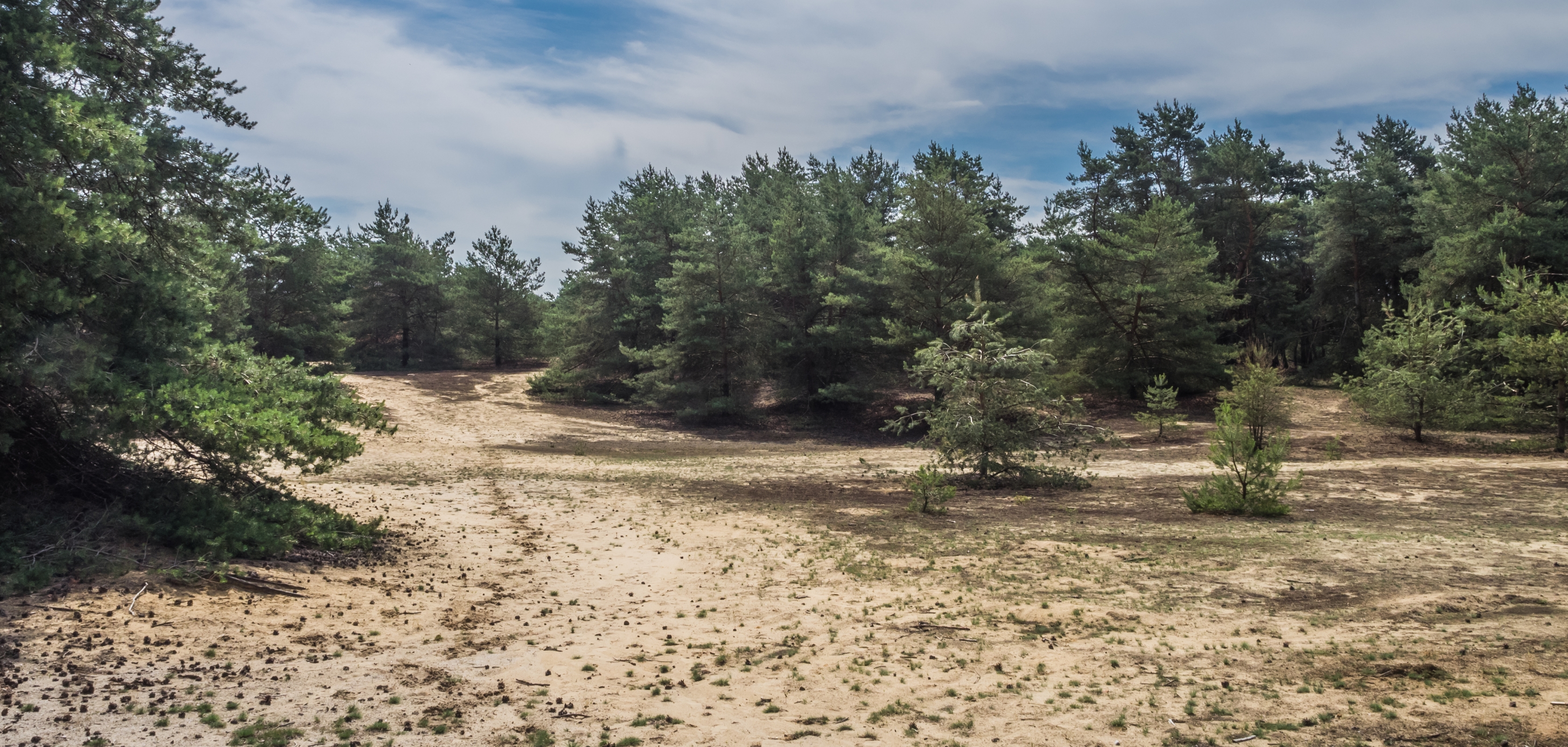 Le Sahara de Lommel