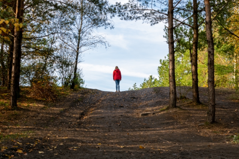 Les 5 plus belles promenades de Flandre