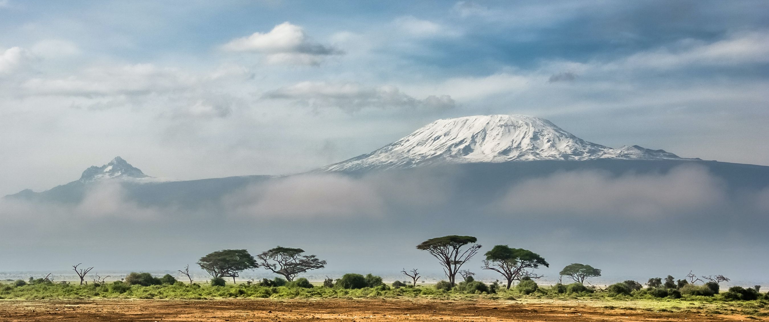 Le Kilimanjaro