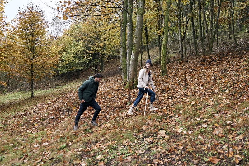 Les plus belles randonnées automnales en Belgique et aux alentours