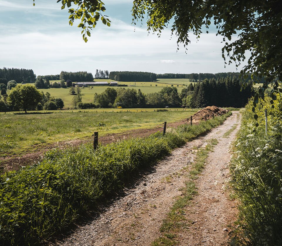 Mooie wandelroute op een Vlaams stukje van de GR 5