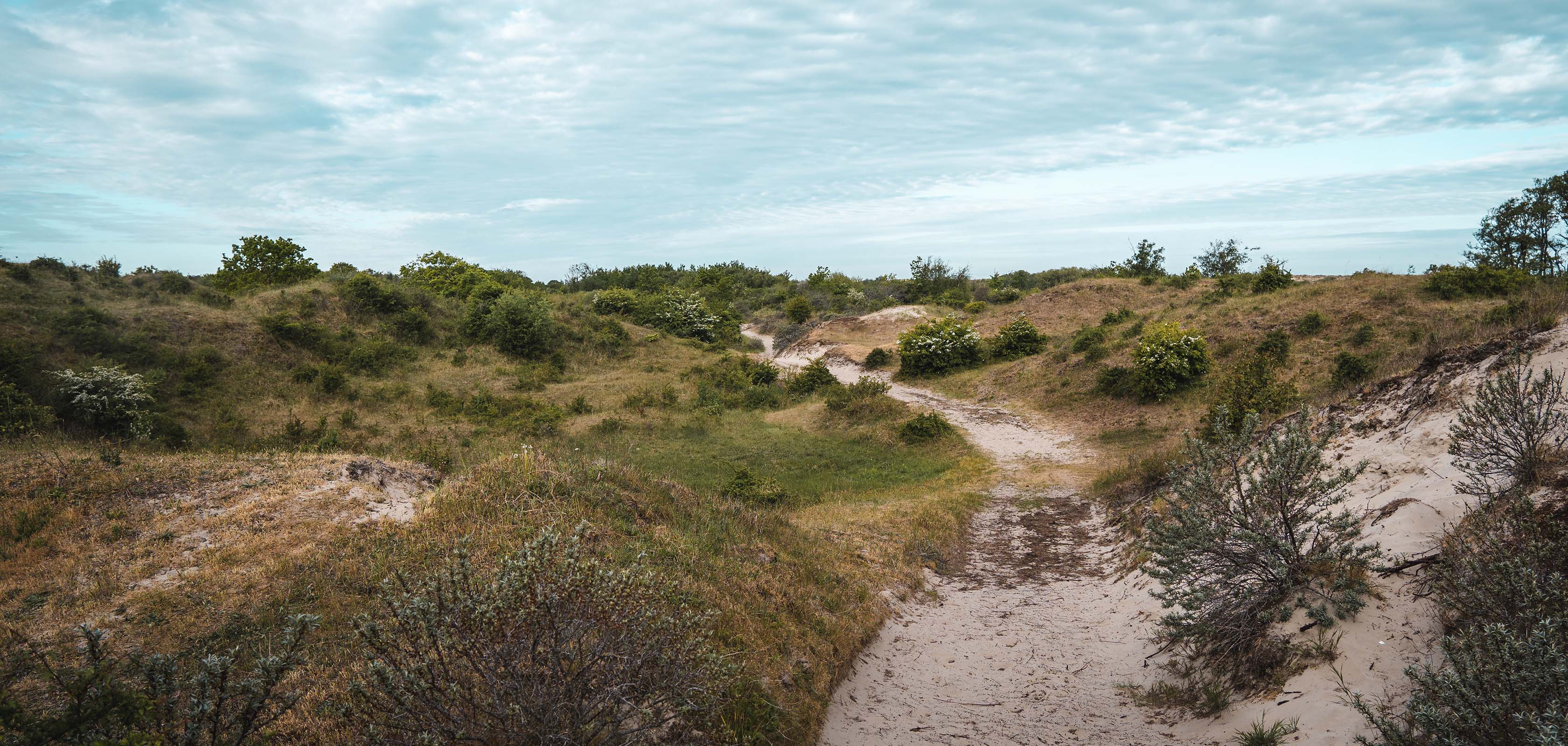 Belle promenade sur un GR flamand