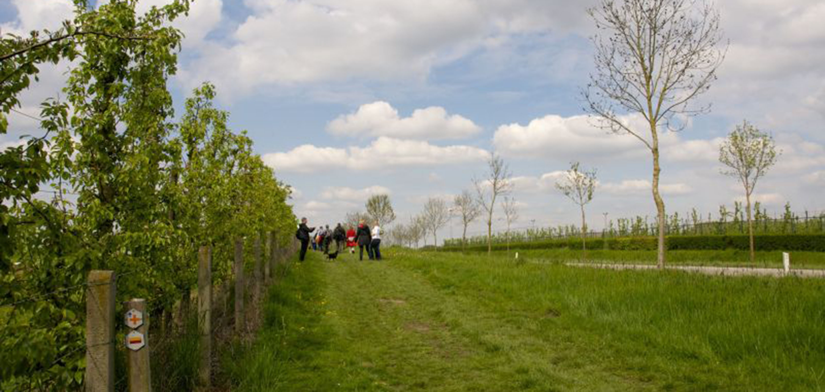 Promenade de la gare d’Alken à la gare de Saint-Trond sur le GR 128