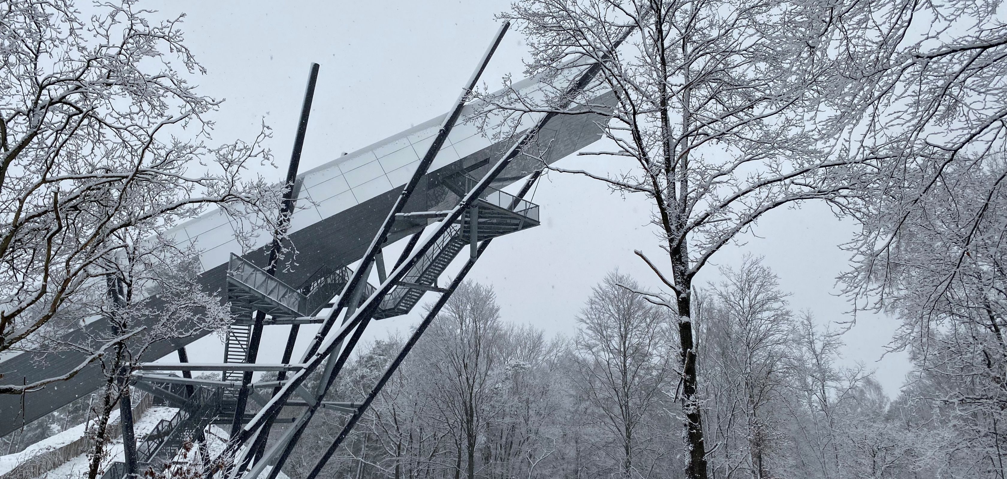 Le bliksemtrap dans le parc national des Hoge Kempen pour une jolie balade hivernale en Belgique