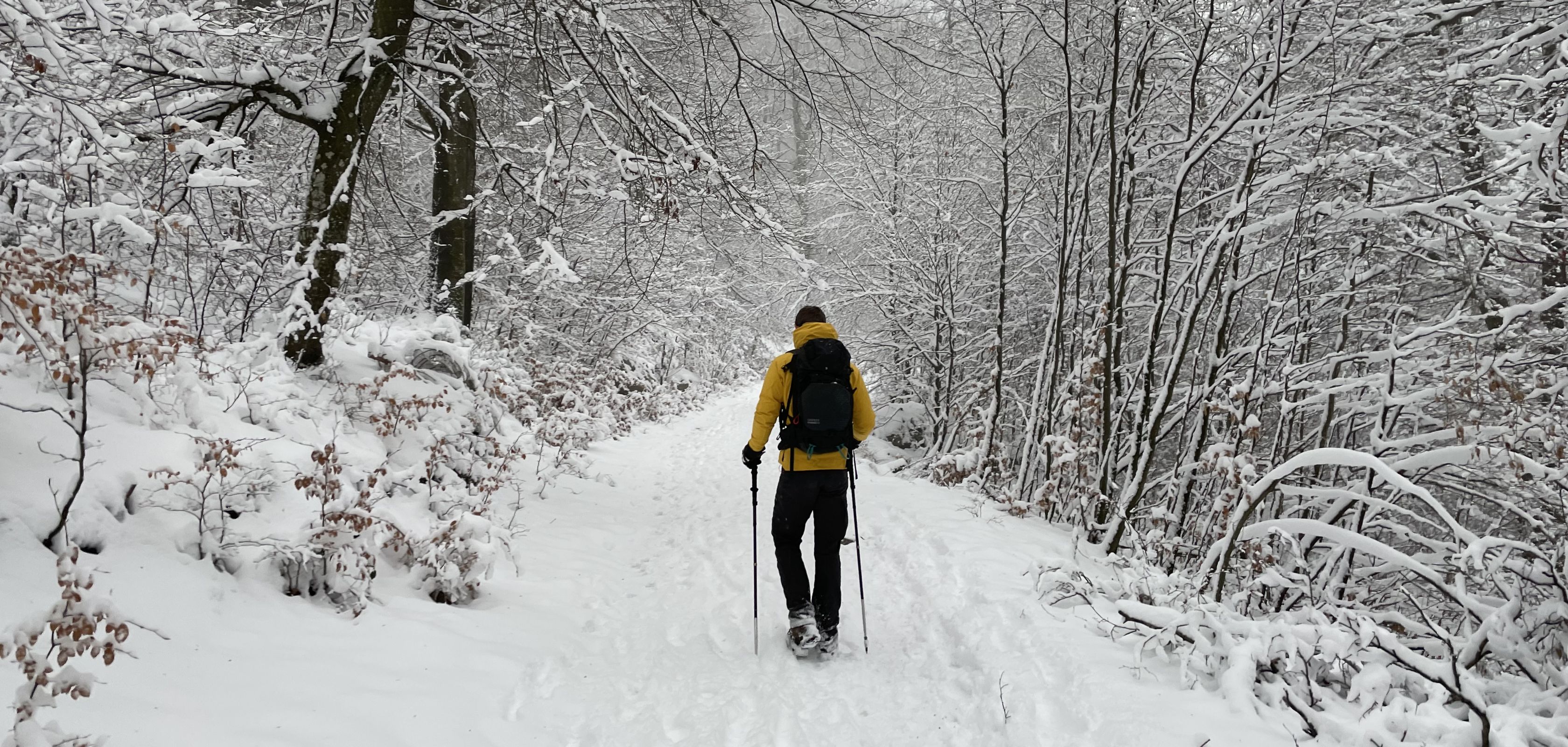 Un homme fait une jolie balade hivernale dans la neige en Belgique