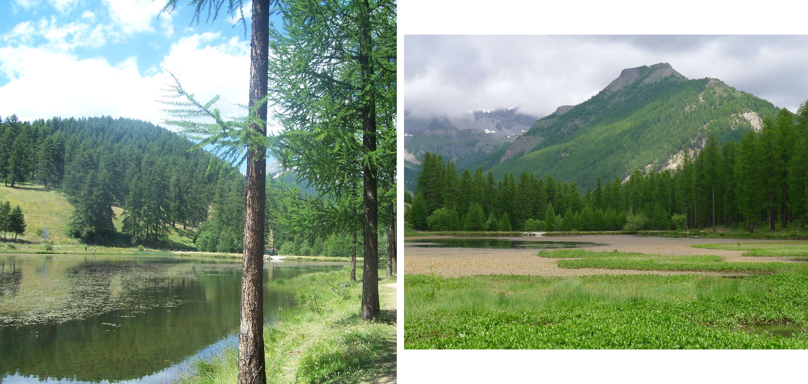 Lac de Roue dans le Queyras