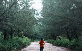 Une femme court et part faire du sport dans la forêt proche, équipée d’une montre de sport, afin de brûler des graisses.